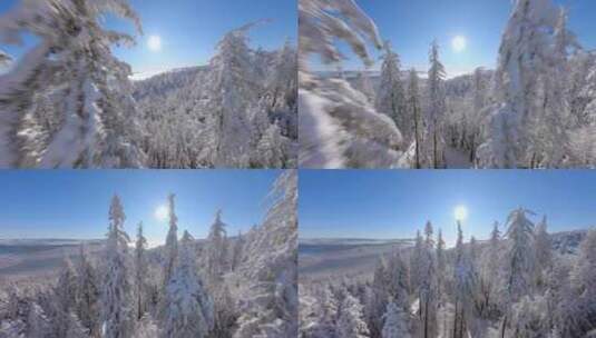 大雪雾凇森林雪景高清在线视频素材下载