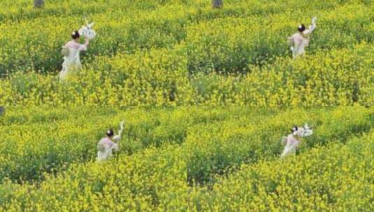 中国广东省广州市南沙区东涌油菜花高清在线视频素材下载