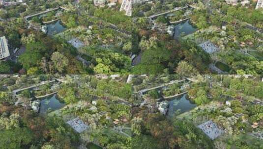 无人机俯拍福建省厦门市中山公园春意高清在线视频素材下载