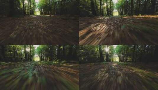 原始森林光影FPV高清在线视频素材下载