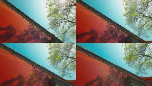 北京雍和宫红墙光影绿树高清在线视频素材下载