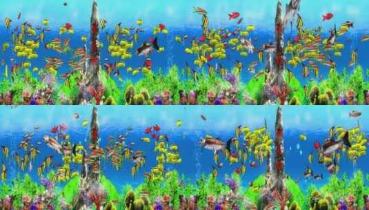 3D海底鱼群观赏鱼鱼缸无缝循环高清在线视频素材下载