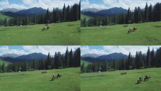 4k航拍新疆伊犁库尔德宁游客在骑马高清在线视频素材下载