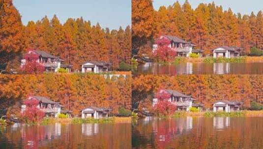 杭州西湖秋天建筑风景高清在线视频素材下载