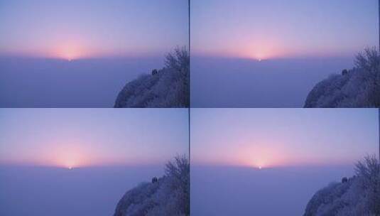 峨眉山 四川 雾凇 冬季 雪景 云海高清在线视频素材下载