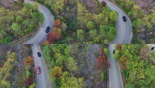 金色秋天旅游公路上行驶在风景中的汽车高清在线视频素材下载