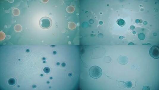 各种细胞CG动画 生命科学高清在线视频素材下载