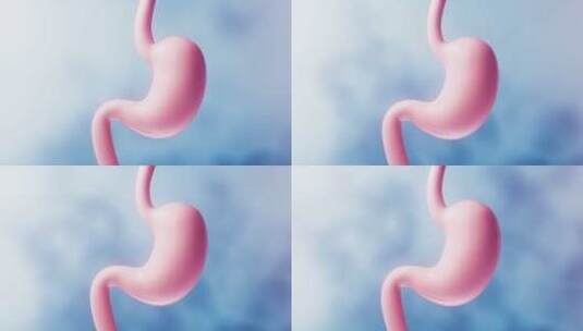 胃部消化系统医疗概念3D渲染高清在线视频素材下载