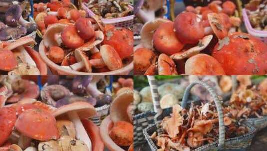 夏季云南特色美食吃菌子野生菌采蘑菇特写高清在线视频素材下载