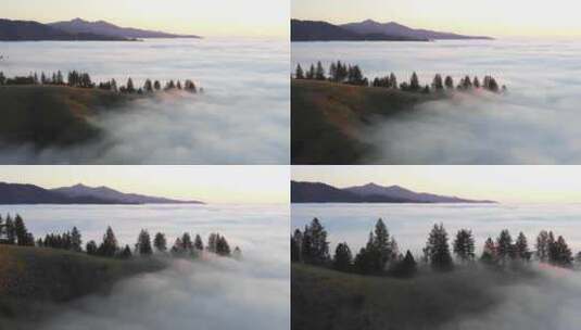 清晨山峰云雾森林云海平流云山顶平流雾高清在线视频素材下载