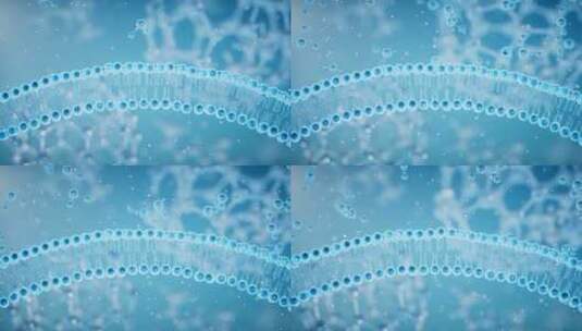 水分子穿透细胞膜吸收高清在线视频素材下载