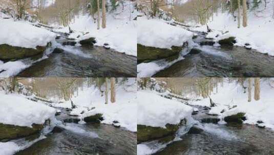森林被大雪覆盖 森林溪流高清在线视频素材下载