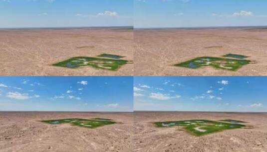 沙漠绿洲 水源地高清在线视频素材下载
