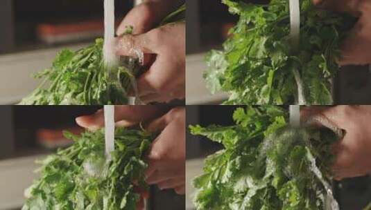 用水冲洗香菜叶子洗菜高清在线视频素材下载