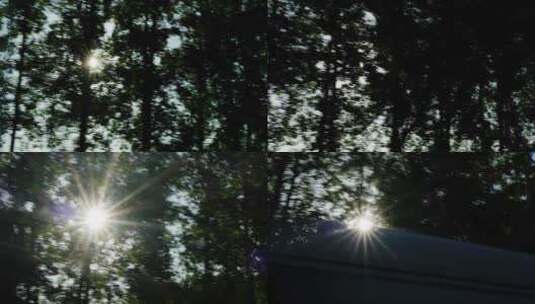 车窗外树影阳光高清在线视频素材下载