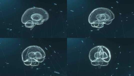 人脑全息图。黑色背景下人体器官的透明3D高清在线视频素材下载