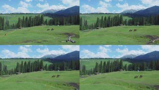 4k航拍风景新疆伊犁库尔德宁草原高山森林高清在线视频素材下载