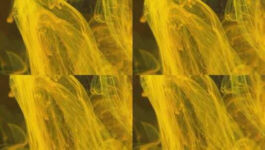 黄色涂料在水中混合形成高清在线视频素材下载