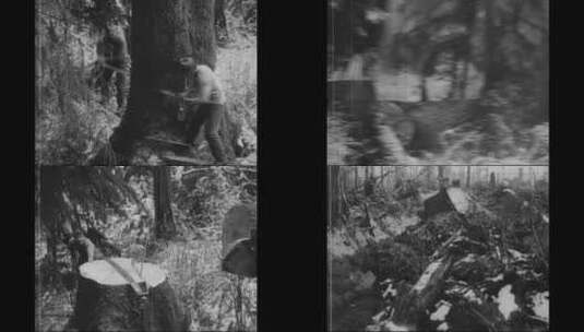 1917年复古电影影片工人砍伐树木高清在线视频素材下载