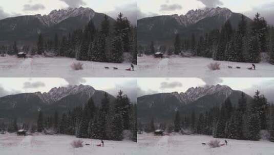 雪橇狗拉着骑手穿过雪地高清在线视频素材下载