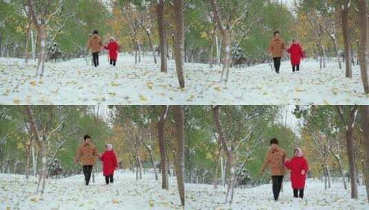 走在公园雪地里的中国母女形象高清在线视频素材下载