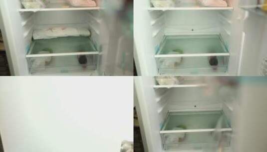 【镜头合集】青菜鸡毛菜裹厨房纸放冰箱高清在线视频素材下载