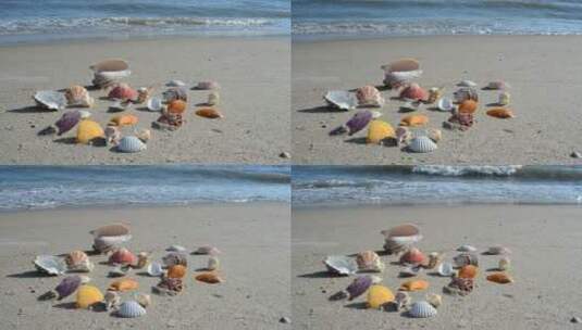 岸上的贝壳高清在线视频素材下载
