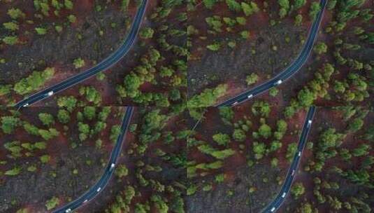 从空中俯瞰穿过树林的道路上的交通高清在线视频素材下载