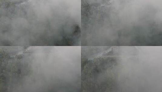 鸟瞰红树林烟雾高清在线视频素材下载