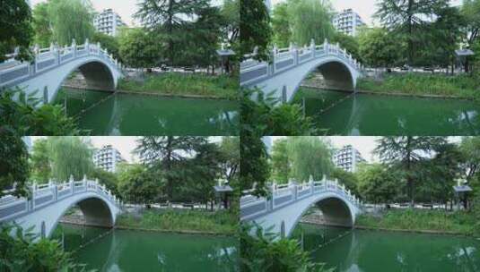武汉汉口小南湖公园风景高清在线视频素材下载