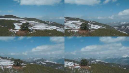 冬季云南红土地雪景自然风光雪山环绕的神树高清在线视频素材下载