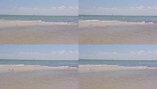 澳大利亚墨尔本海边沙滩海浪高清在线视频素材下载