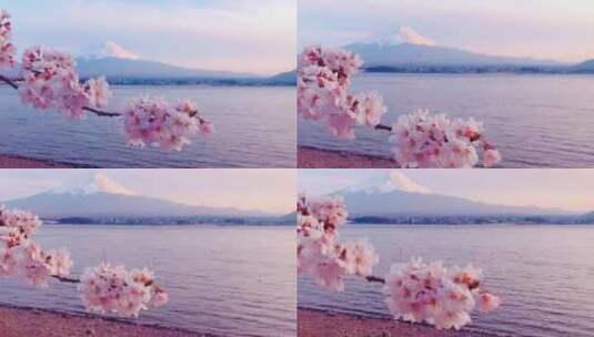 富士山唯美美景风景风光风貌高清在线视频素材下载