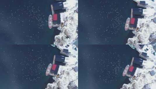 白雪皑皑的海滨城市高清在线视频素材下载