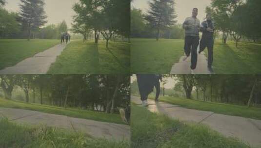 公园晨跑   晨跑的人  跑步  4K高清在线视频素材下载
