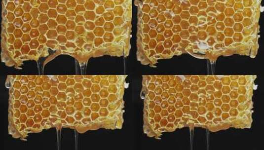 蜂蜜唯美食材野生广告精品高清在线视频素材下载