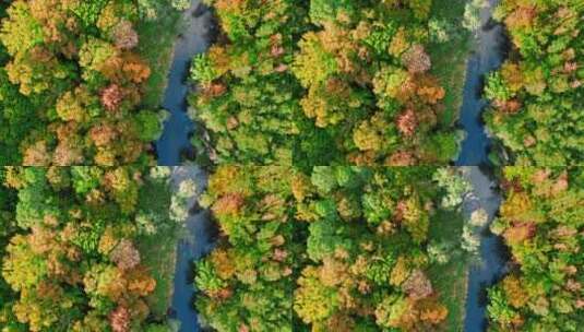 秋季风光绝美秋景航拍高清在线视频素材下载