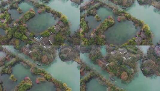 初春江南湿地庭院梅花盛开季节杭州西溪湿地高清在线视频素材下载