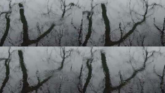 雨天湖面雨滴树影空镜高清在线视频素材下载