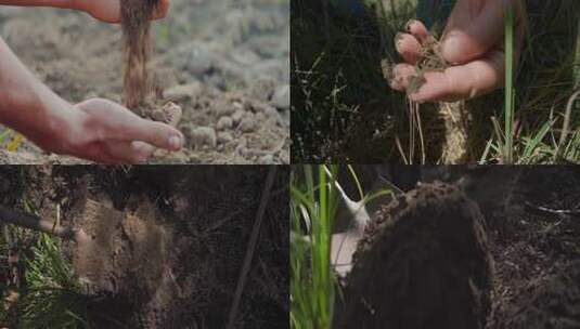 肥沃的土壤特写手中的土壤农民检测土壤土质高清在线视频素材下载