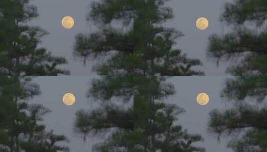 月亮实拍高清在线视频素材下载