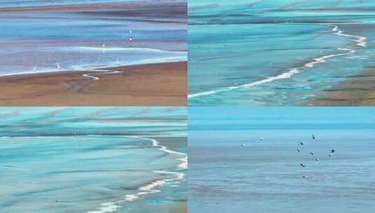 鸟群在江面上飞行的各类航拍角度高清在线视频素材下载