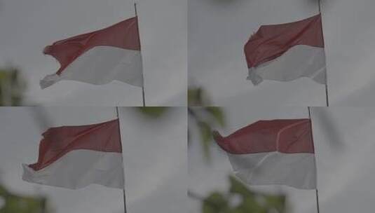 飘扬的印度尼西亚国旗高清在线视频素材下载