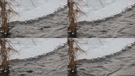 冬去春来湖水结冰逐渐融化高清在线视频素材下载