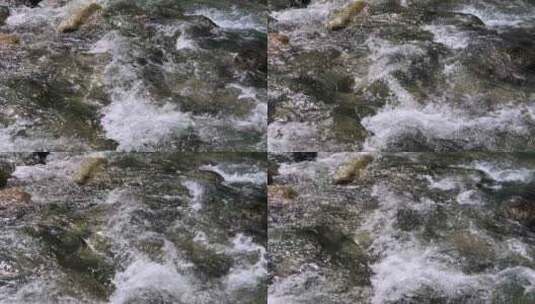 清澈的山间溪流高清在线视频素材下载