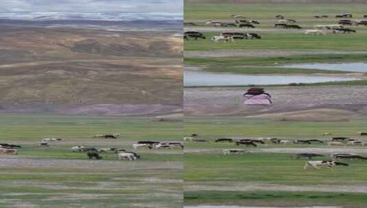 高清竖屏航拍西藏日喀则岗嘎镇珠峰古堡风和高清在线视频素材下载