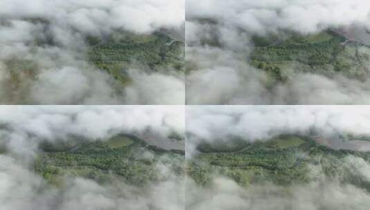 河流湿地云雾缥缈高清在线视频素材下载