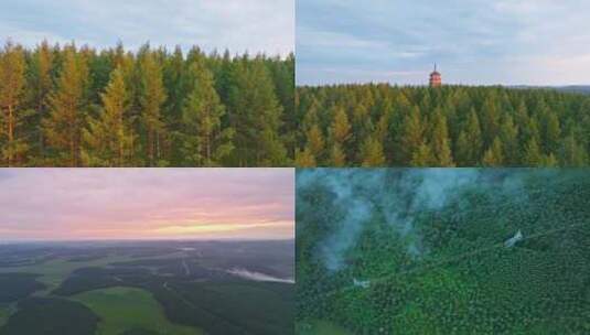 航拍自然森林公路湖泊合集高清在线视频素材下载