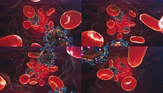 血液细胞 医学动画 细胞高清在线视频素材下载