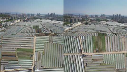 大面积农业温室大棚俯瞰景象高清在线视频素材下载